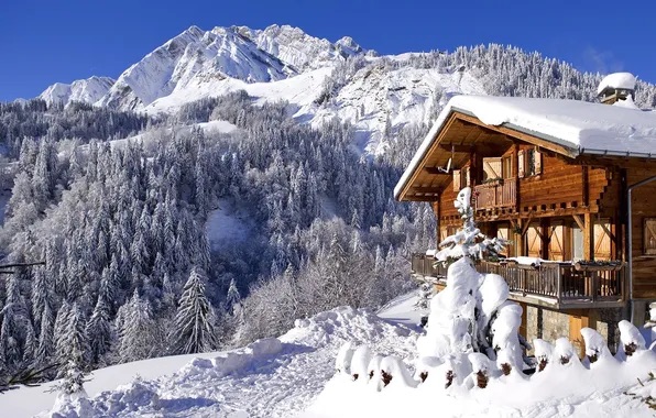 🎄 CHATA | VYSOKY TATRY | 2027